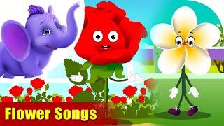 20 Best Flower Songs  4K  Appu Series