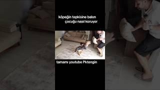 SİMBANIN YANINDA BİR ÇOCUĞA ZARAR VERMEYE KALKARSANIZ NEOLUR