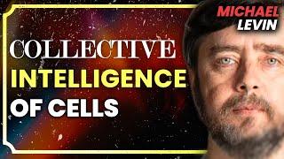 Michael Levin Consciousness Biology Universal Mind Emergence
