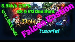 Falcon Bastion Duo EK & ED Hunt Tutorial 65kkh 225% exp 1kkh profit Tibia 2020