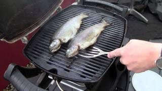 Forelle vom Grill Ganzen Fisch grillen Anleitung Rezept Weber Q100 - Disturbed Cooking Ep. 40