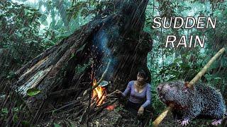 Beautiful girl survival the wild night - Bushcraft camping and wild foraging