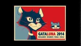 Spot campaña #gataluna2014