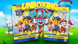 Paw The Movie Mini Figures Unboxing  Surprise Toy Unboxing  Opening  Kids World