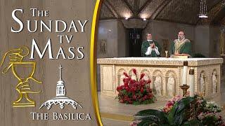 The Sunday Mass — July 14 2024 — 15th Sunday in Ordinary Time CC
