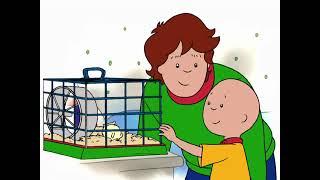 Caillou EPISODE 27 “CAILLOU HELPS OUT”