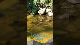 Cachoeira em Paraty