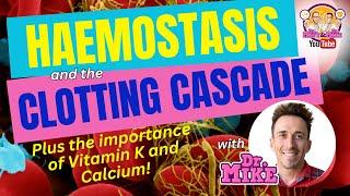 Hemostasis and the Clotting Cascade Why Vitamin K & Calcium are important