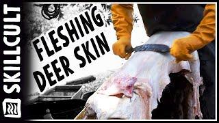 Fleshing Deer Hides for Tanning or Drying Natural Leather Tanning