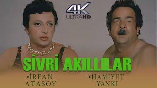 Sivri Akıllılar Türk Filmi  4K Ultra HD  Zeki Alasya  Metin Akpınar