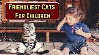 10 Best Child-Friendly Cat Breeds And Why