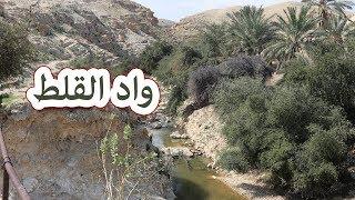 فلوق من  وادي القلط بالقرب من مدينة أريحا wadi alqilt near Jericho