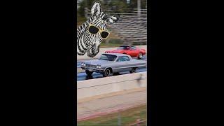 1964 Impala vs 1979 Firebird #shorts STOCK RACE