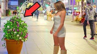 El Hombre Planta Ataca  Bushman Prank