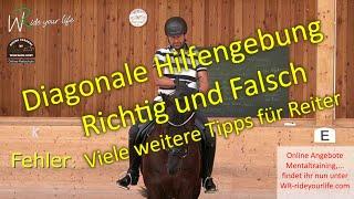 F142 Diagonale Hilfengebung Verstehen und Reiten lernen. Die Einwirkung des Reiters am Pferd.