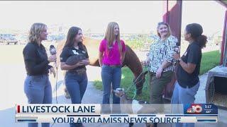 NBC 10 News Today Livestock Lane interview