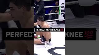A PERFECT flying knee 