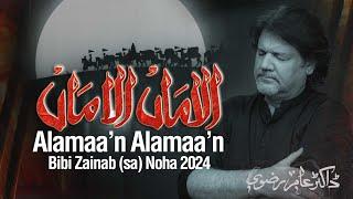 Nohay 2024  Alamaan Alamaan  Dr Amir Rizvi  Bibi Zainab Noha 2024