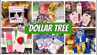 DOLLAR TREE FINDS  AM I ROCKIN?  WHATS NEW AT DOLLAR TREE  DOLLAR TREE COME WITH ME  DOLLAR TREE