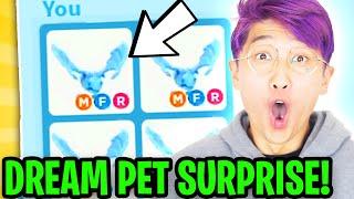 Can LANKYBOX SURPRISE THEIR BEST FRIEND With DREAM PET In ADOPT ME? MEGA NEON FROST DRAGON?