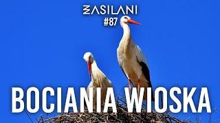 Bociania Wioska. Zasilani #87