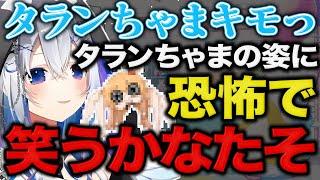 【天音かなた】タランちゃまのあまりの姿に恐怖して笑う天音かなた【ホロライブ かなたそ かなたん VTUBER】