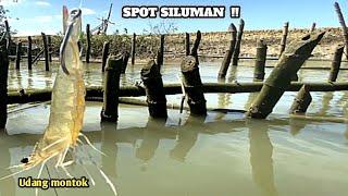 Sambaran pertama langsung dapat ikan kakap putih Mancing kakap putih besar di spot siluman