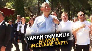 Özgür Özel İzmirdeki yangında zarar gören ormanlık alanda inceleme yaptı