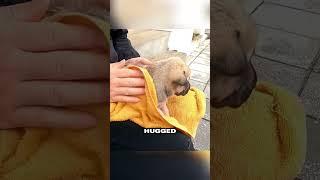 Man rescues trembling puppy offers warmth and love