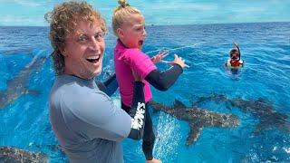 Swimming with SHARKS Overcoming Fear