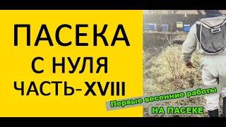 Пасека с нуля 18. Первые весенние работы на пасеке инструкция для начинающих.  www.uley.in