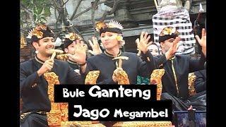 BULE GANTENG AMERIKA JAGO MEGAMBEL DI PKB 2019