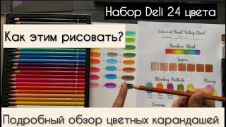 Годно или нет? Обзор цветных карандашей Deli набор 24 штуки.