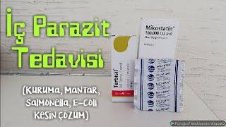 Muhabbet Kuşlarında İç Parazit Tedavisi Kuruma Mantar İshal Salmonella E coli - Kesin Çözüm