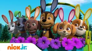 Щенячий патруль  Щенячий патруль спасает шоу фокусов  Nick Jr. Cyrillic