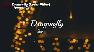 Dragonfly Lyrics Video- Sponge Cola