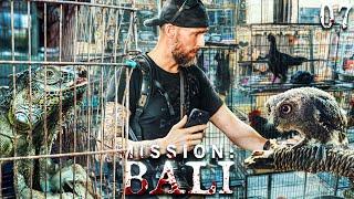 Der traurige Wildtierhandel auf Bali - Wir können das beenden  Mission Bali