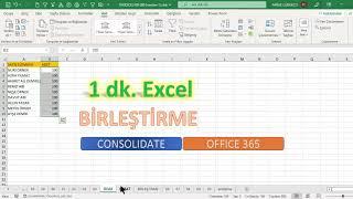 Excel 1 Dakika - Sayfaları Birleştirme