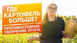 КАК ВЫРАСТИТЬ БОЛЬШОЙ КАРТОФЕЛЬ? ПРОТИВОСТОЯНИЕ УДОБРЕНИЙ. ИТОГИ