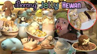 Makan Hewan Sampai Mimisan Jelly Babi Burung Anjing Beruang Penguin Dan Kucing