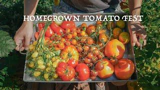Our Favorite TOMATO Varieties from Backyard Garden 2022 Growing & Cooking with 8 Tomato Varieties