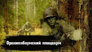 Рубежи обороны морских пехотинцев 1941-1944. Коп по войне.