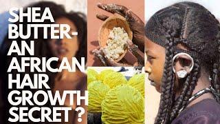 Shea Butter - African Hair Growth Secret?  The Origin Benefits Production + Natural Hair Use