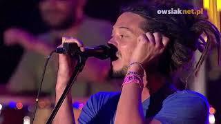 Soja - I Dont Wanna Wait Live at Woodstock 2013