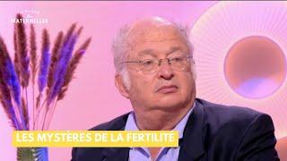 Les mystères de la fertilité - La Maison des maternelles #LMDM