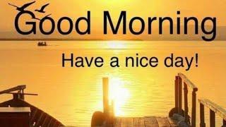 good Morninggood Morning wishesgood Morning Videos Statuspls  Subscribe @smilingthulasi3686