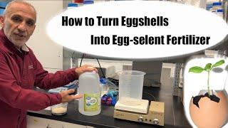 How to Make Calcium Rich Fertilizer Using Eggshells and Vinegar