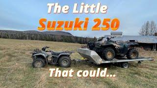 What SIZE ATV do You really need??? Watch what this little Suzuki 250 can do