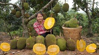 Mother of Two Children Collects Jackfruit  Make Jackfruit Cake  Vietnamese traditional Cooking