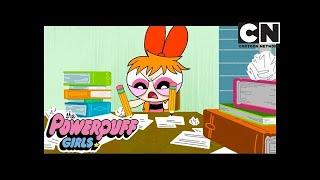 Powerpuff Girls  Maths Homework  Cartoon Network